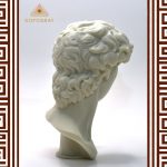 Head of David -  Italian Renaissance Sculpture  - David by Michelangelo